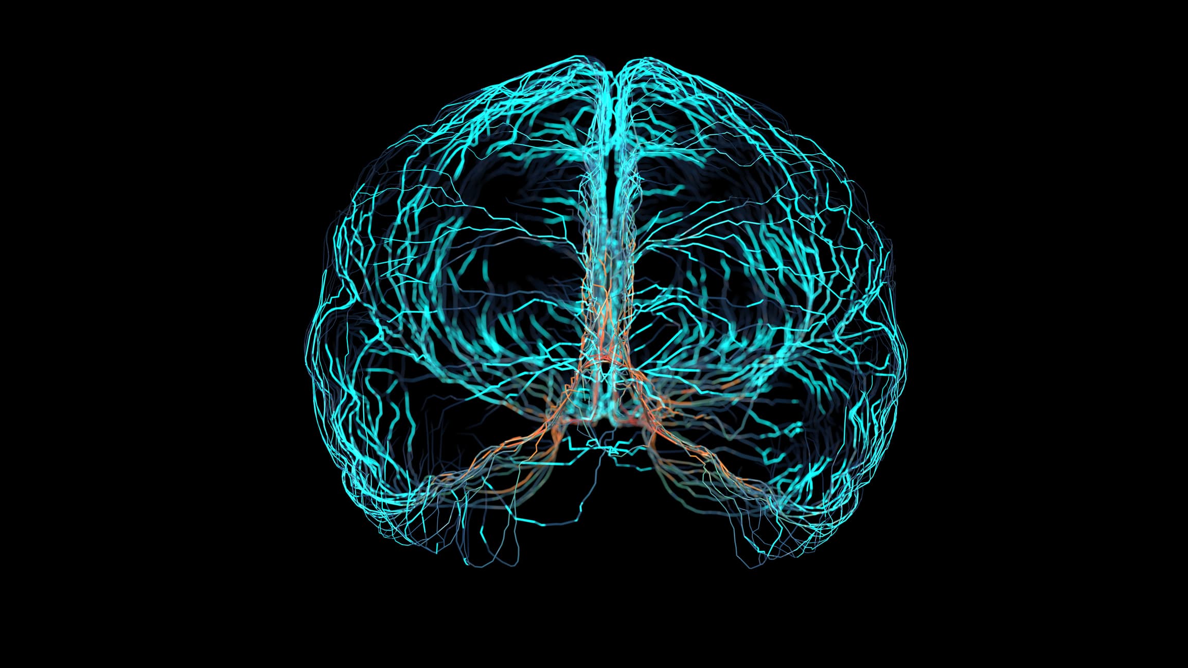Brain
