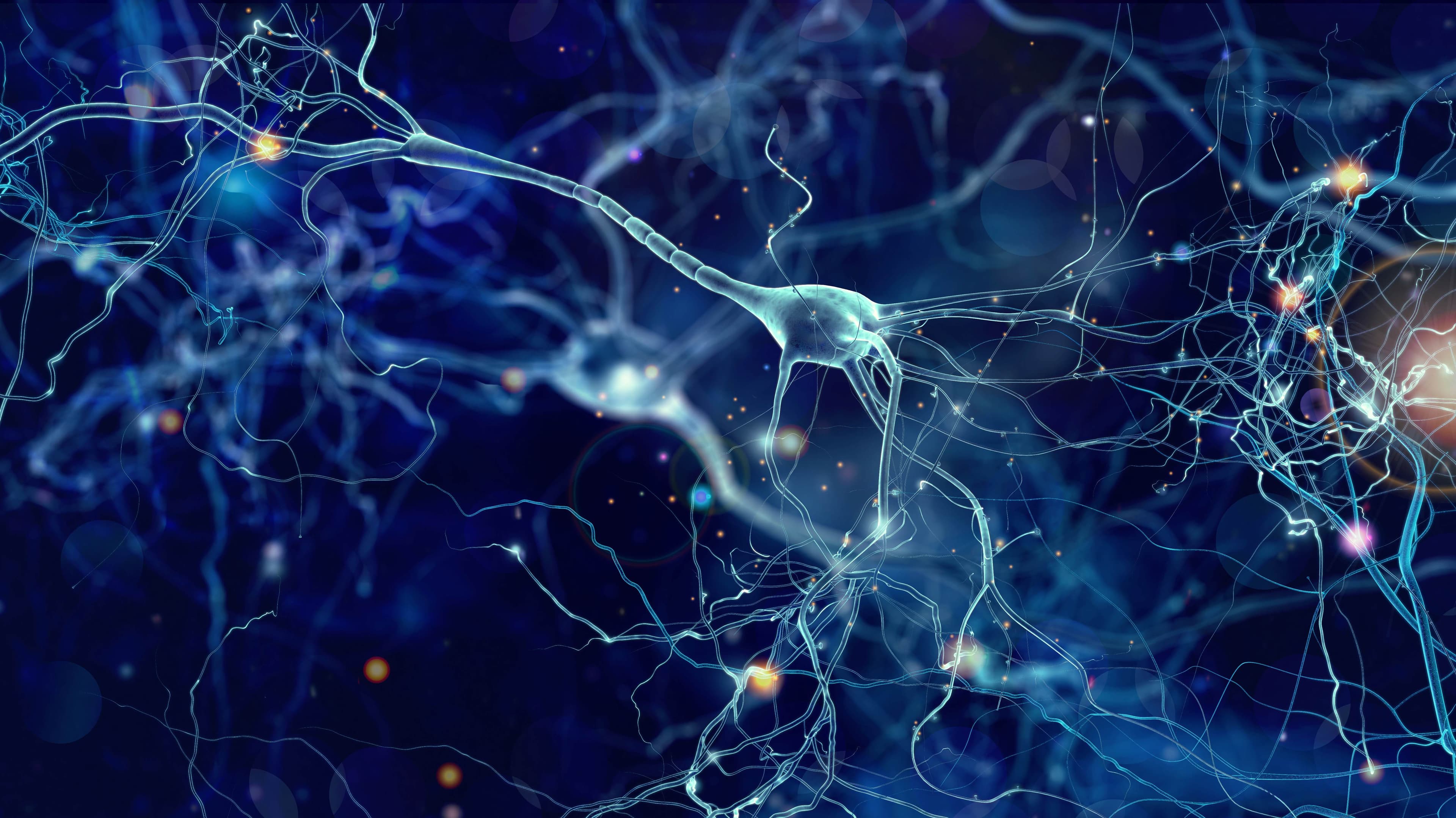 Article Alzheimer