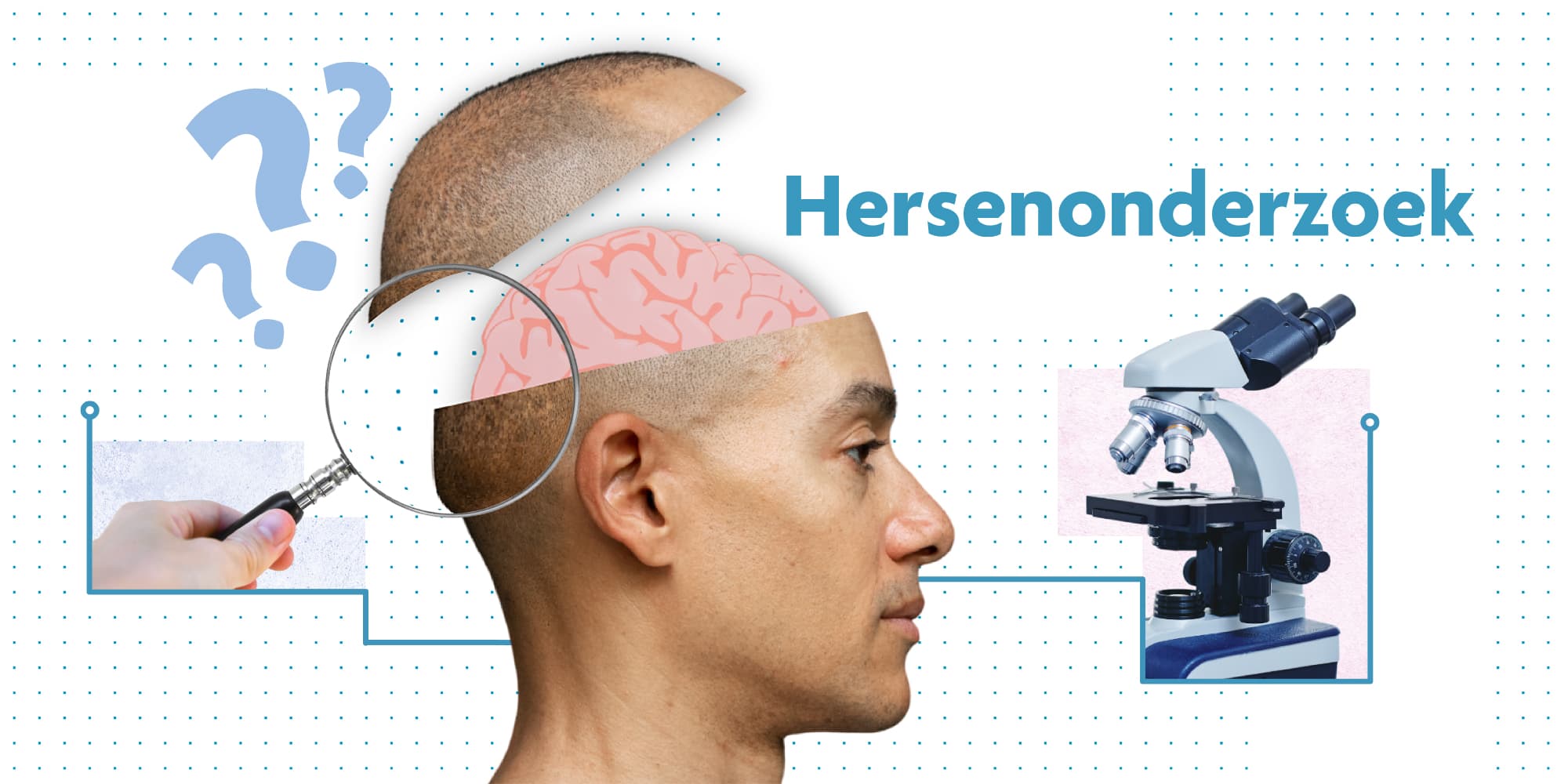 Alles over .. je hersenen meta