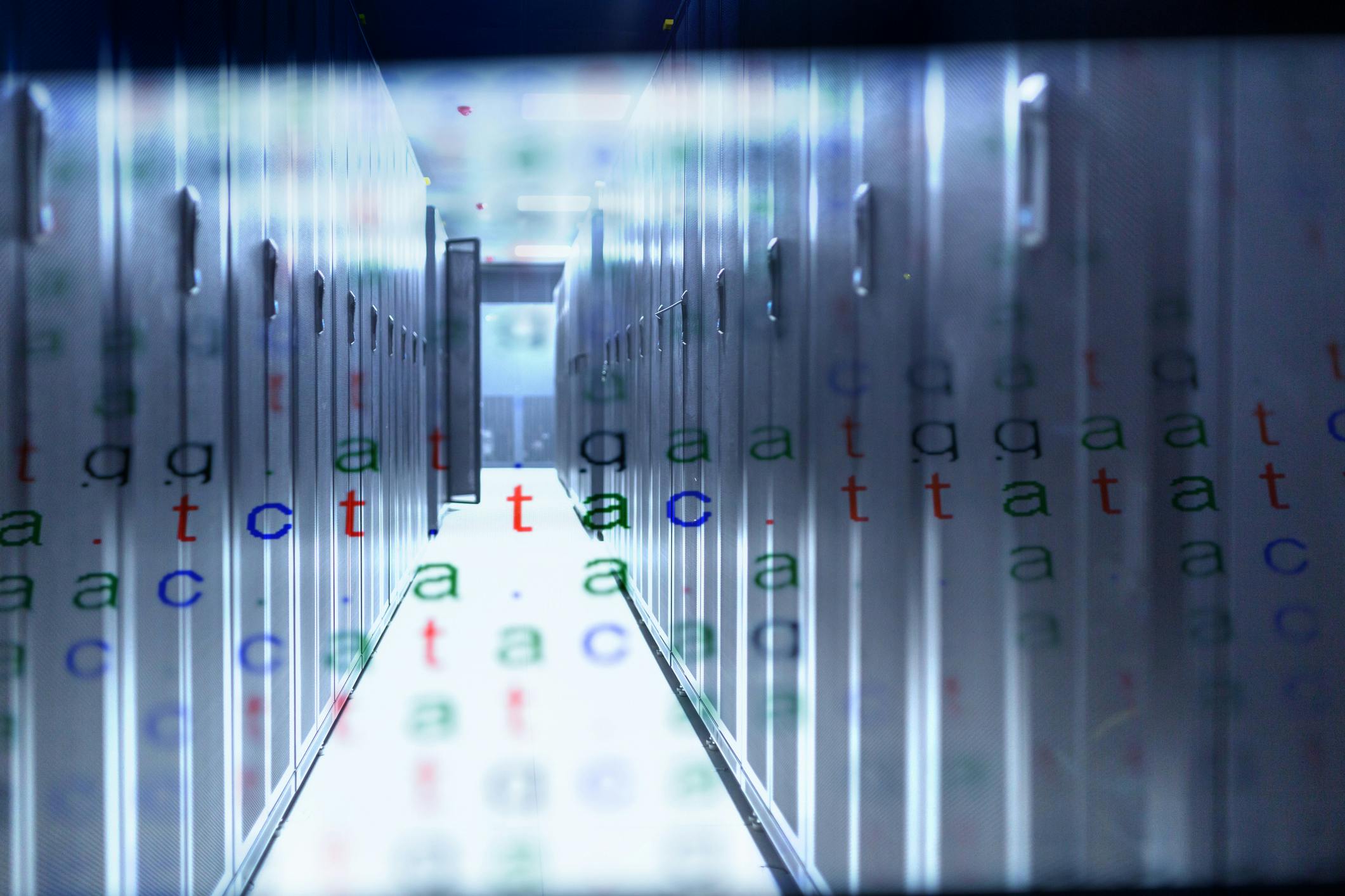 DNA storage