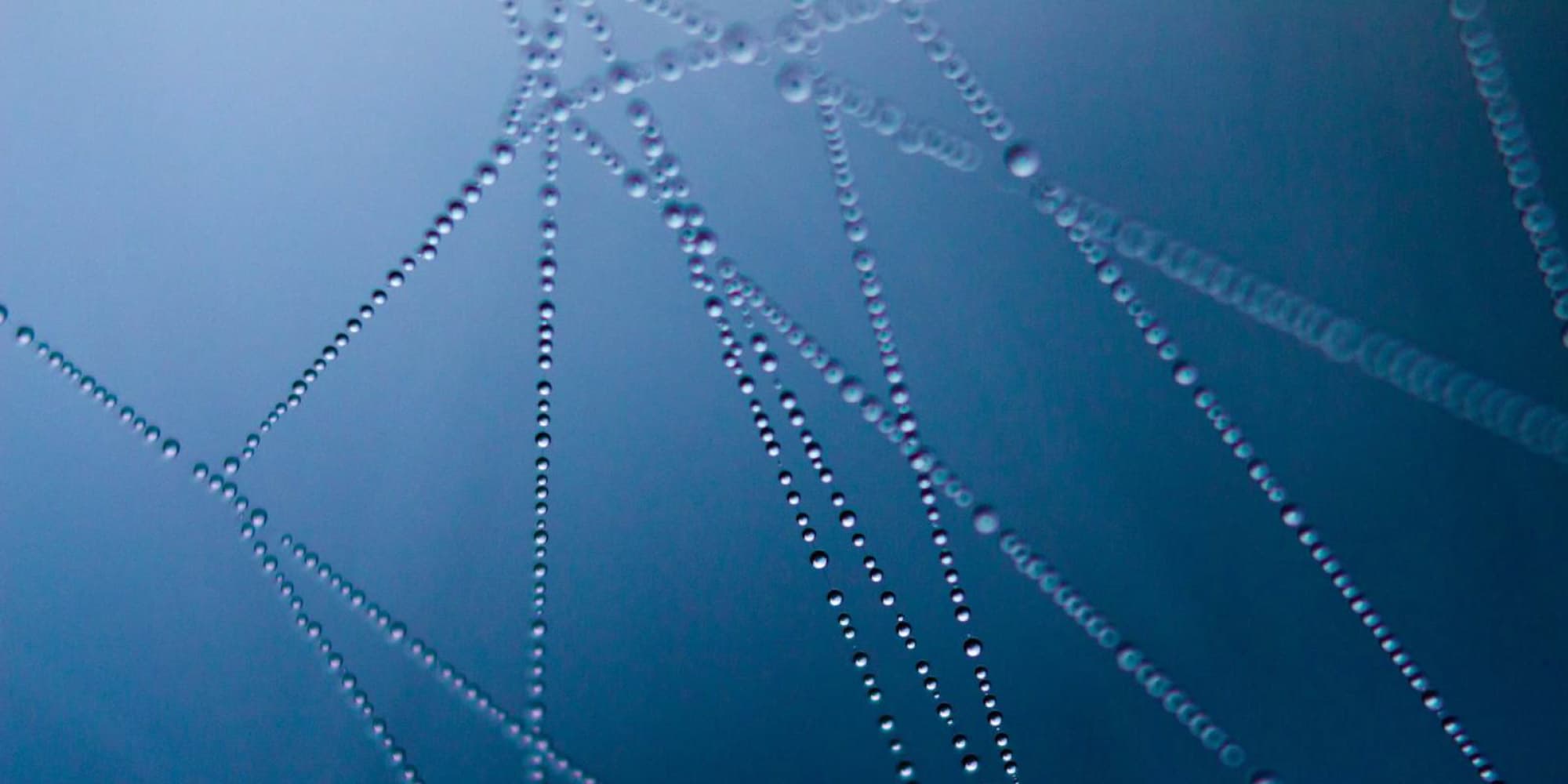 Schaalbare architectuur voor Internet of Water Flanders